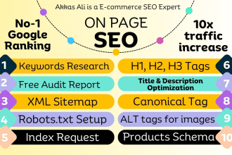 optimized meta tags, titles, descriptions, image alt for on page SEO