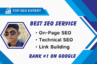 optimize website SEO on wordpress, shopify, wix, squarespace
