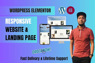 do wordpress website development, design or redesign elementor wordpress website