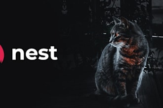 be your nestjs developer for backend developement