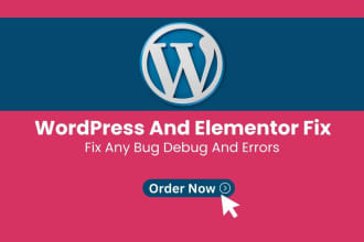 fix bug debug and any elementor errors