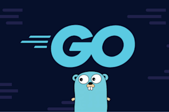 build golang api server and microservices