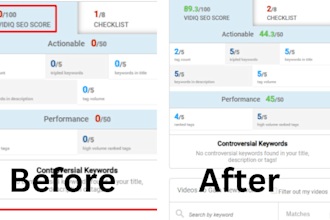 do best youtube video SEO expert for fast ranking