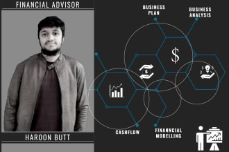 build investors ready financial model ,budgets,  projections, valuation