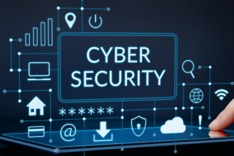 do cyber security related projects for you,