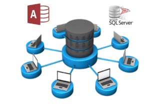 build a professional custom application in ms access