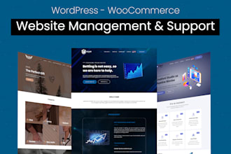 provide maintenance and support for your wordpress website