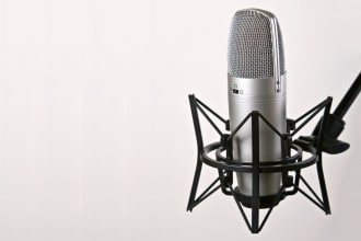voice any script under 1 minute with same day turnaround