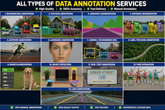 do image annotation, data labeling, bounding box, text tagging for ai models