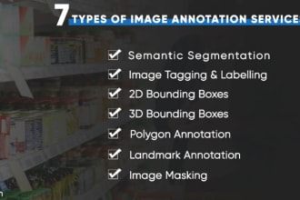 do image annotation, data labeling, bounding box, text tagging for ai models