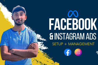 setup facebook and instagram ads campaign for sales and leads