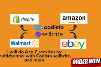 do product mapping strategy using codisto and sellbrite