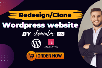 design, duplicate, redesign, clone copy, and revamp wordpress website for you