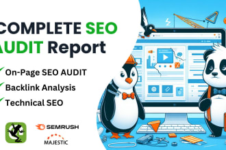 do complete website SEO audit report for penalty recovery