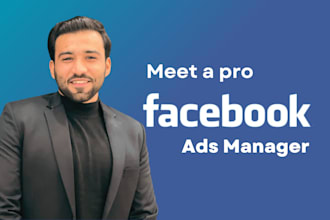 be your facebook ads campaign manager, run meta ads