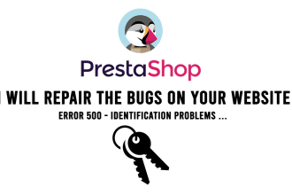 repair the bugs on your website errors, 500, identification and other