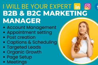 be your professional b2b and b2c sales and marketing manager