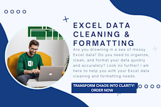 do ms excel data cleaning and formatting,merging,splitting,sorting,deduplication