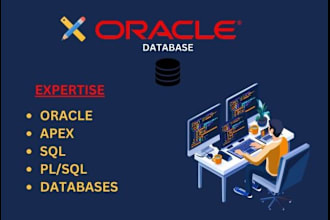 provide you oracle apex database application development