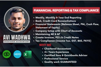 provide accounting, financial reporting and tax compliance