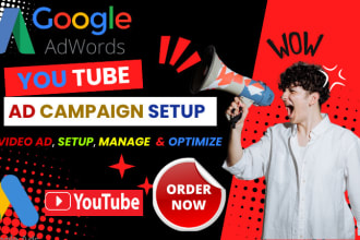 set up a youtube video advertising campaign for your google ad