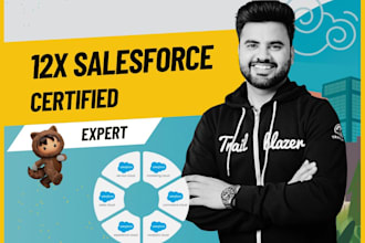 be your certified salesforce developer and expert