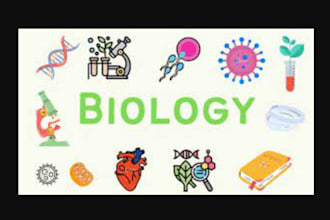 write biology papers and microbiology essays in mla, apa, chicago and oxford