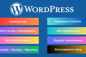 create, update and manage wordpress website