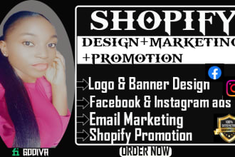 shopify sales marketing manage shopify website promotion facebook instagram ads
