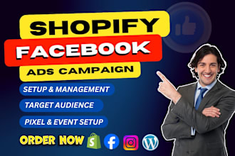 setup shopify facebook ads campaign and instagram ads, fb advertising