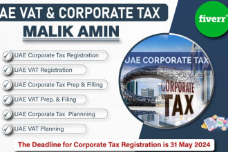 do uae vat and ct registration and filing, annual audit