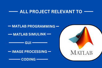 do programming,simulink, and control system as matlab expert