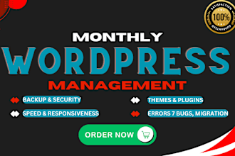 do monthly wordpress website maintenance, customization, updates, support