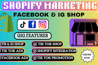 setup facebook shop and instagram shop, fb ads, or tiktok promotion