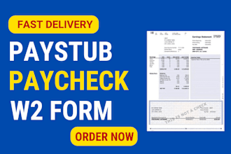 create paystubs, paycheck, w2, payroll and check stubs