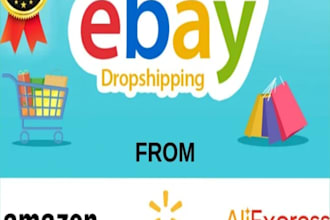 manage your whole ebay account and give you high sale