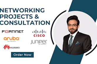 do networking projects and provide network consultation