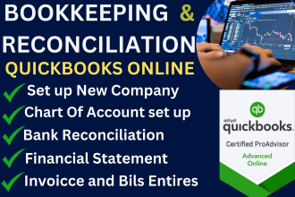 provide categorized and bank reconciliation