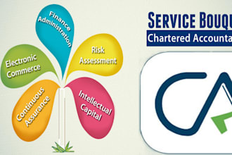 chartered accountant, legal and financial advisory services