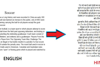 provide professional translation services in kannada, kanglish, hindi, hinglish