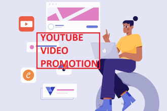 do organic youtube video promotion to niche target audience