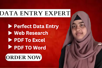 do accurate data entry web research and PDF to excel