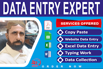 do data entry, appending and data analysis