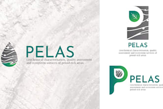 create custom logo design for you