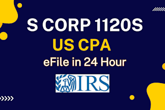 prepare business s corp 1120s tax return and efile in 24 hours