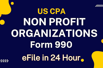 prepare and efile non profit return 990ez, 990n, 990pf