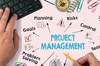 be your business analyst and software delivery consultant