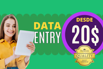 do excel data entry, data entry, PDF to excel data entry