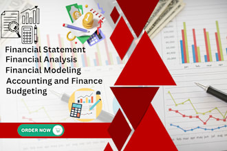 build balance sheet, profit and loss, and cash flow