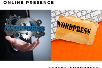 be expert wordpress manager for seamless website management